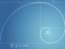 La sucesión de Fibonacci y su aplicación al trading